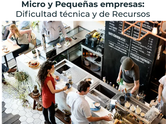 Muestra la dificultad de las micro y pequeñas empresas EN LA NOM-035